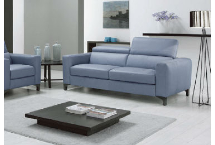 HOW TO CHOOSE A SOFA WITH FORESIGHT